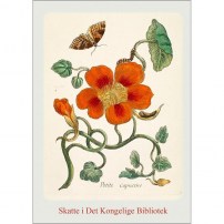 Kartenordner Blumen und Insekten mit 8 Doppelte Kunstkarten und Umschläge 10.00